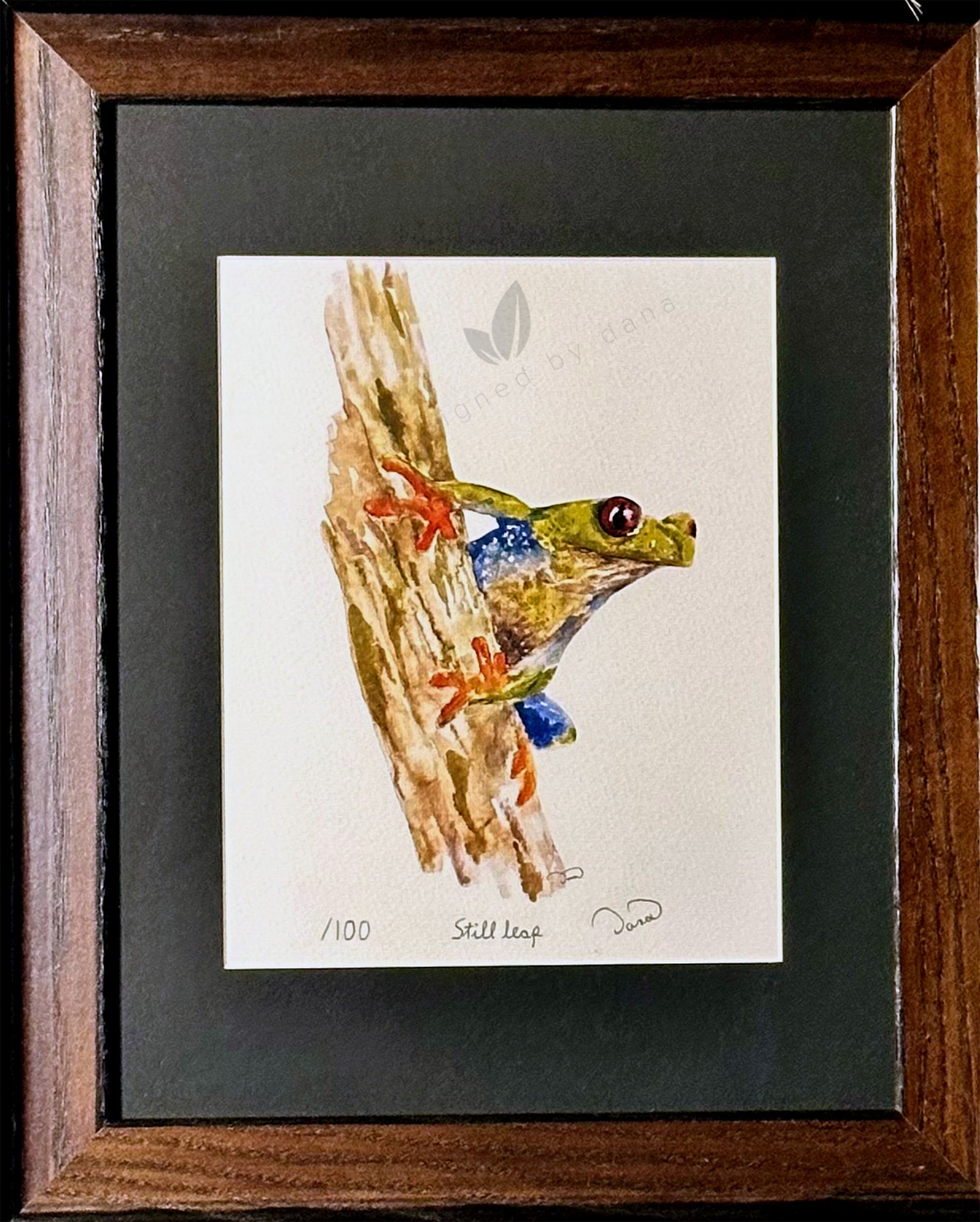 Still Leap ~ Limited Edition Watercolor Art Print by Dana