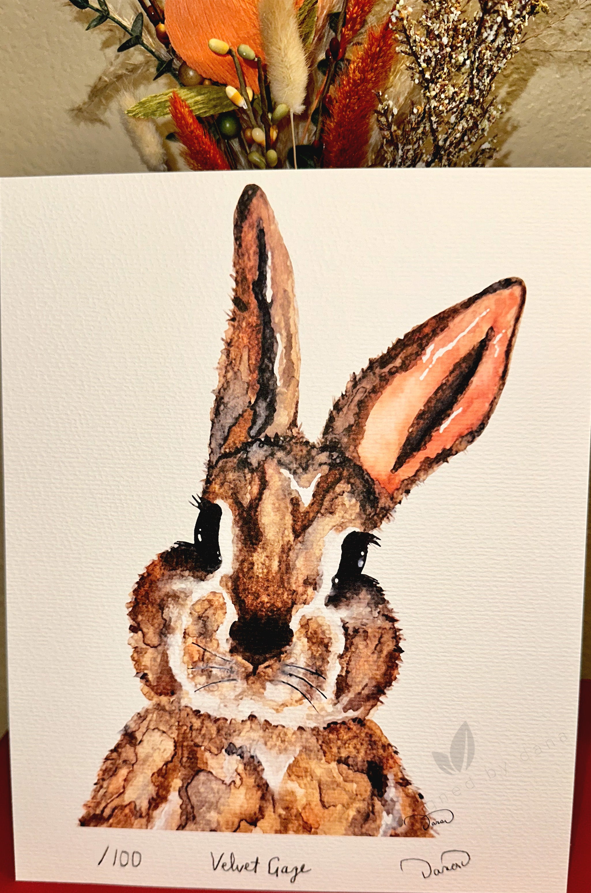 Velvet Gaze ~ Limited Edition Watercolor Art Print by Dana