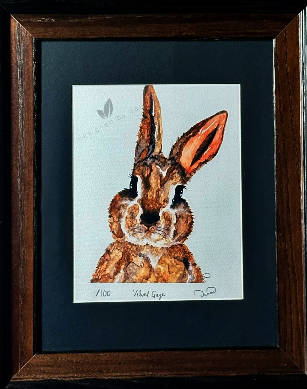Velvet Gaze ~ Limited Edition Watercolor Art Print by Dana